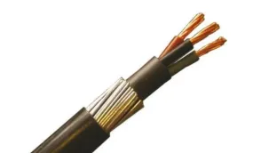 6mm X 3 Core Armoured Cable /M