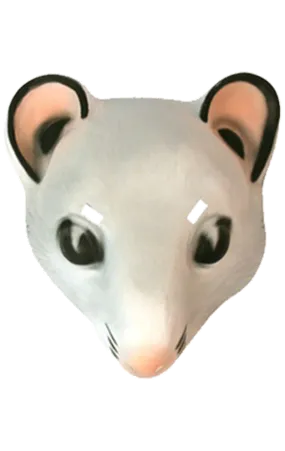 Adult Mouse Facepiece