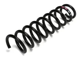 Audi Coil Spring – Rear 8D5511115G