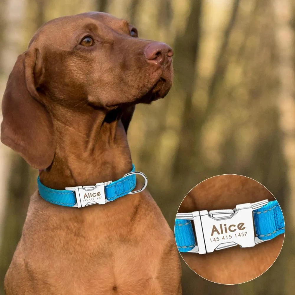 Customized Reflective Nylon Dog Collar: Personalized Safety & Style