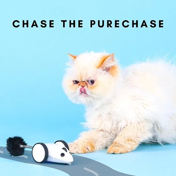 Instachew Purechase Smart Mouse (App Enabled)