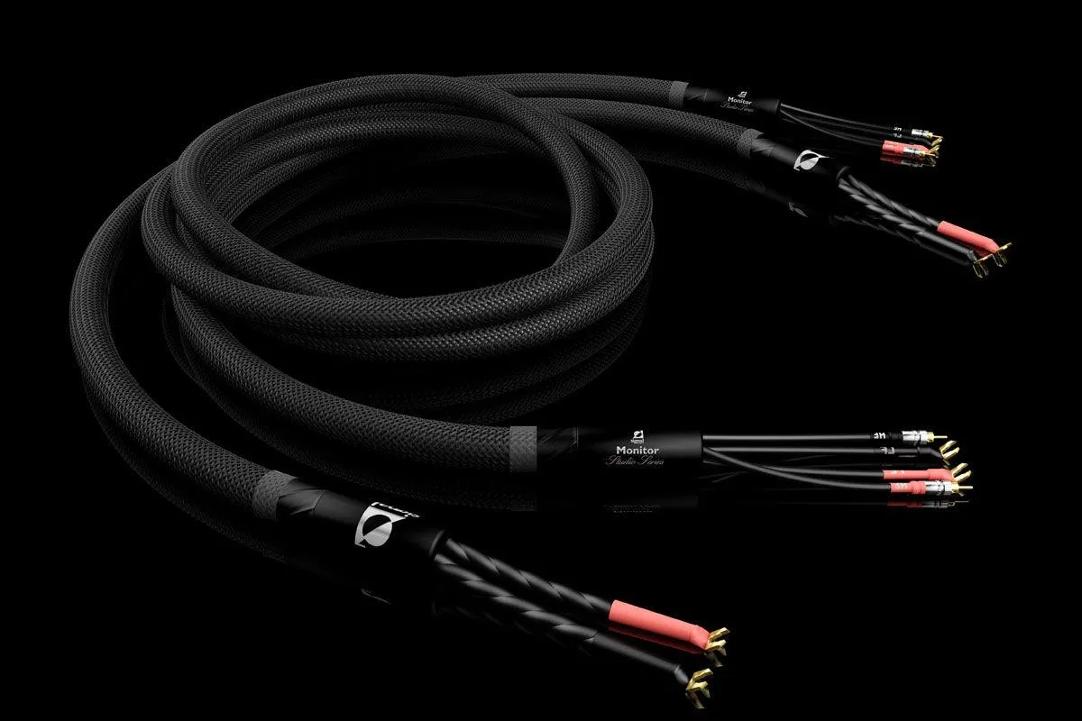 Signal Projects Monitor Speaker Cable