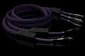 Signal Projects Ultraviolet Interconnect XLR Cable